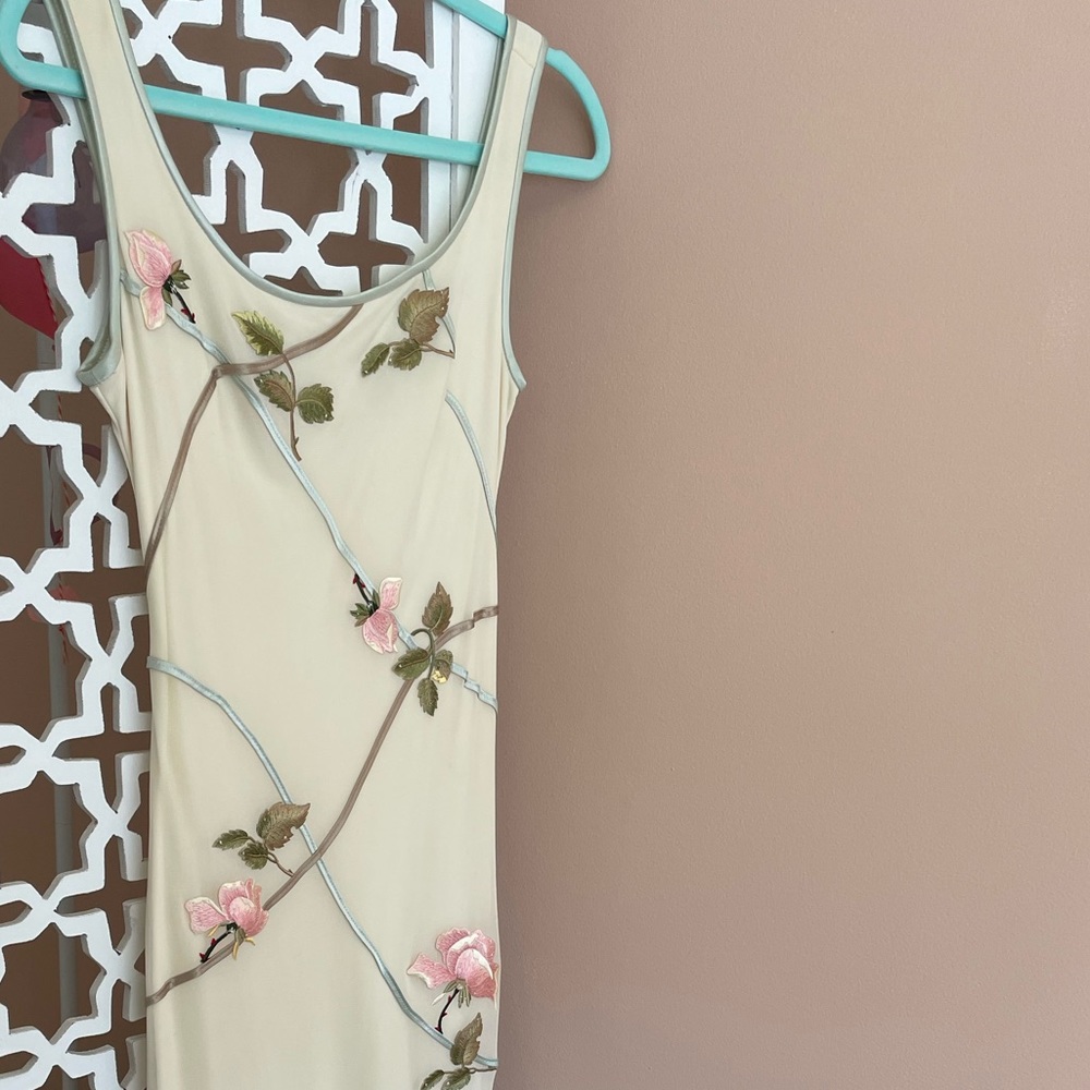 Beautiful Vintage Cache dress